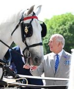 The Majestic Legacy of King Charles' Horse at Royal Ascot: an Unforgettable Journey