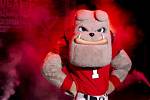 The Uga Mascot: a Symbol of Tradition and Spirit in College Football