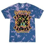 Two Bonnaroo Lifers on How the Festival Has (And Hasn't) Changed |