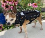 Ultimate Protection: Spike-Adorned Dog Vests for Safety and Style
