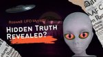 Uncovering the Truth Behind the Lilly Timmerman Accident