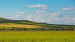 Uncovering Unique Heritage and Influences