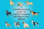 Understanding Dog Breeds: a Comprehensive Guide to Choosing the Right Companion