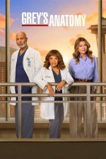 Understanding Grey's Anatomy: a Deep Dive into the Iconic Medical Drama