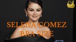 Understanding Selena Gomez's Bra Size: a Comprehensive Insight