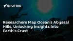 Unlocking Insights into Member Ages and Beyond