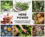 Unlocking the Power of Nature: Exploring Herbs for Transmutation