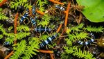 Unveiled: Animals That Embody New Beginnings
