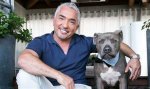 Unveiling Cesar Millan's Net Worth: Secrets and Insights