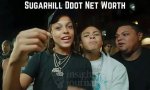 Unveiling Sugar Hill Ddot's Net Worth: Discoveries and Insights