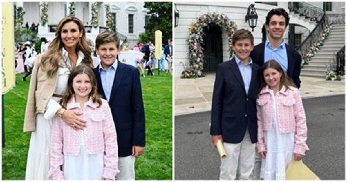 Unveiling the Dynamics of the Alina Habba Family