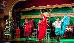 Unveiling the Enchanting World of Flamenco with Paloma Rios ·