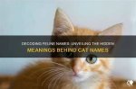 Unveiling the Hidden Meanings Behind "Funny Names for Black People"