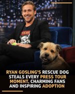 Unveiling the Inspiring Story Behind Ryan Gosling's Dad