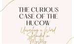 Unveiling the Mystery: the Curious Case of Mr. Tumble Crimes