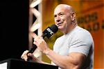 Unveiling the Role of Dana White's Wife: Discoveries and Insights