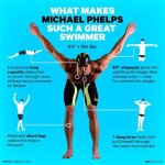 Unveiling the Secrets Behind Michael Phelps' Height and Weight