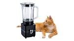 Unveiling the Secrets of Cat Blender Videos: a Journey of Discovery