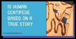 Unveiling the Truth Behind "Is Insidious True Story"?