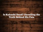 Unveiling the Truth: "Is Sha Ek Dead?"