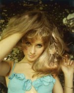 Unveiling the Wealth of Lee Meredith: a Deep Dive into Her Net Worth