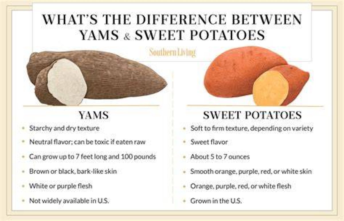 What Does Get to the Yams Mean