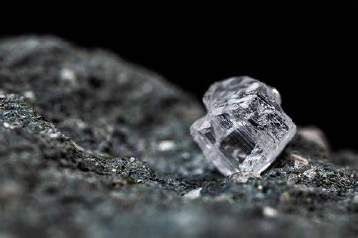 What Is Rough Diamonds About? Plot of Netflix Crime Thriller Explained |